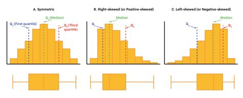 box plot and shape of distribution|right skewed box plot vertical.